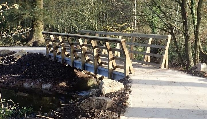 A mountain biking trail bridge