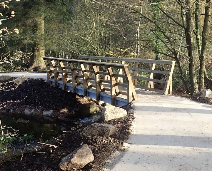 A mountain biking trail bridge