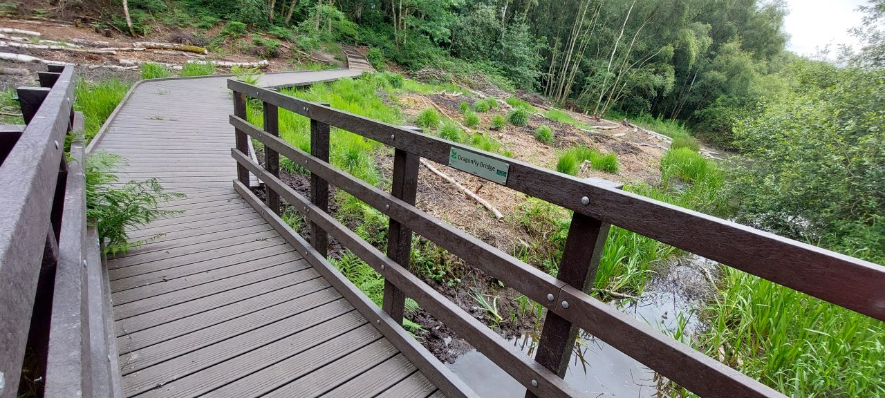 Looking along a pedestrian bridge on to a boardwalk made from recycled plastic