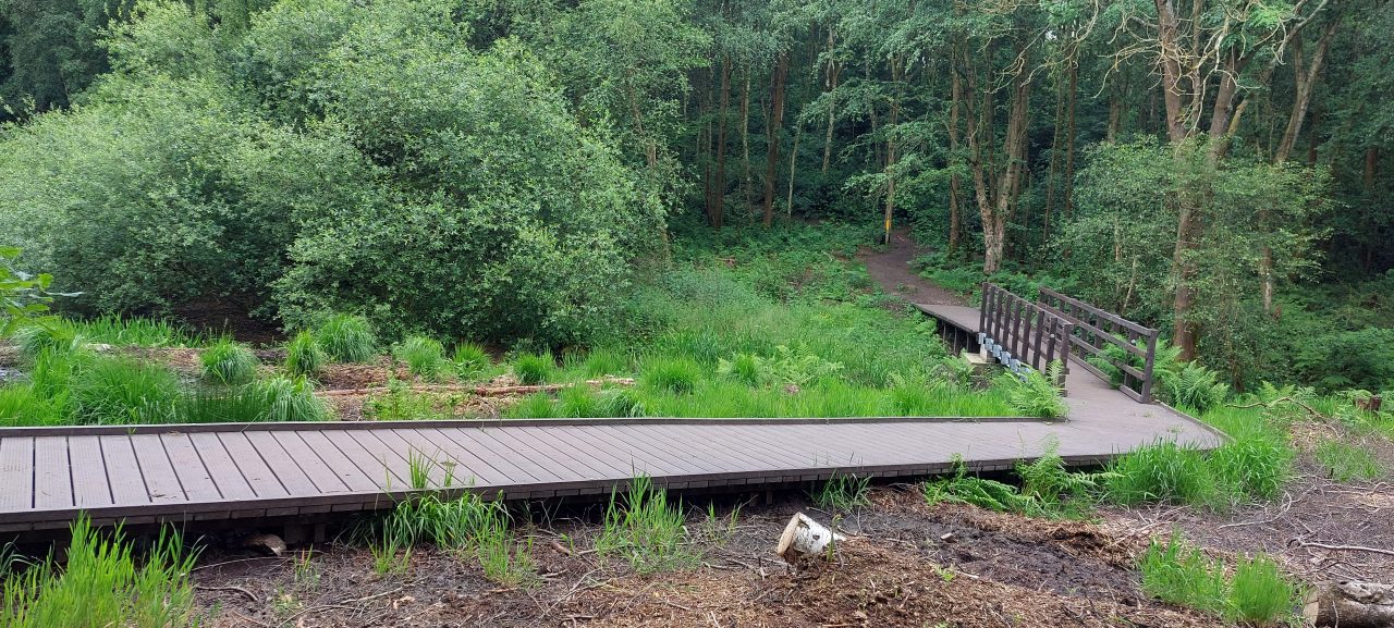 a section of boardwalk in the countryside