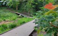 brown recycled plastic boardwalk with vegetation around it