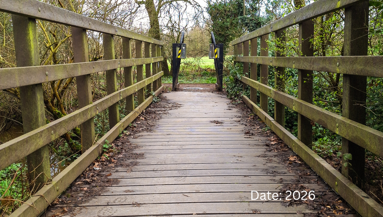 Algae growing on a recycled plastic bridge