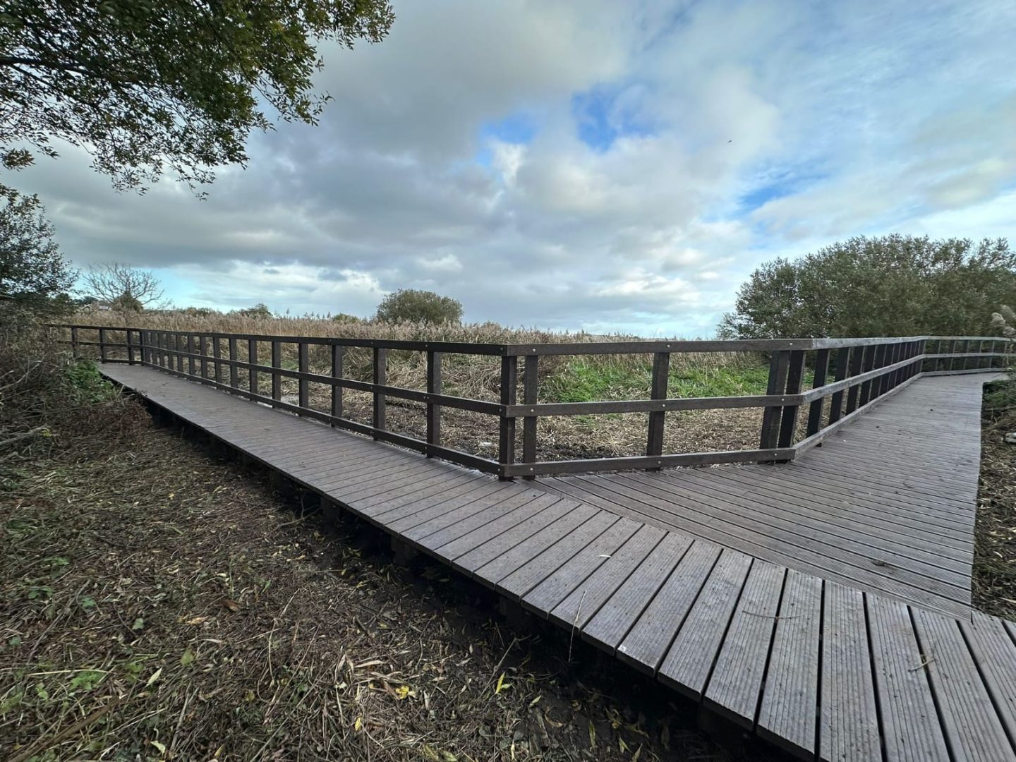 A section of 100% recycled plastic boardwalk crossing a reedbed in Dorset