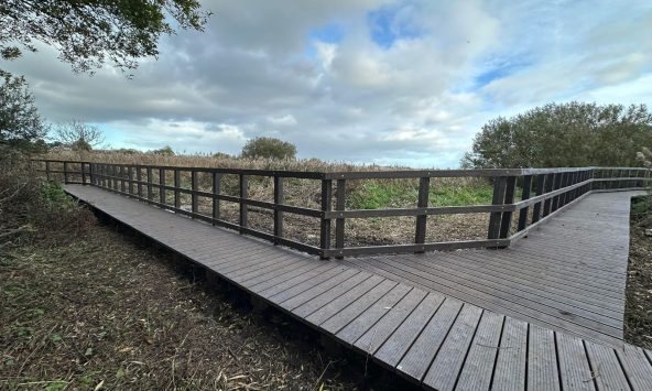 A section of 100% recycled plastic boardwalk crossing a reedbed in Dorset