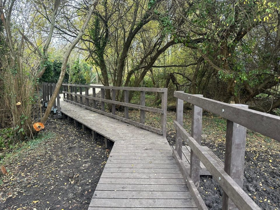 SSSI location in Dorset with a long-life recycled plastic boardwalk