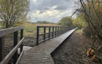 a new boardwalk in Dorset