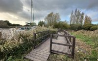 a recycled plastic boardwalk with hand rail for safety