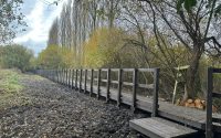 Re-Life40 Recycled plastic boardwalk structure crossing a reed bed