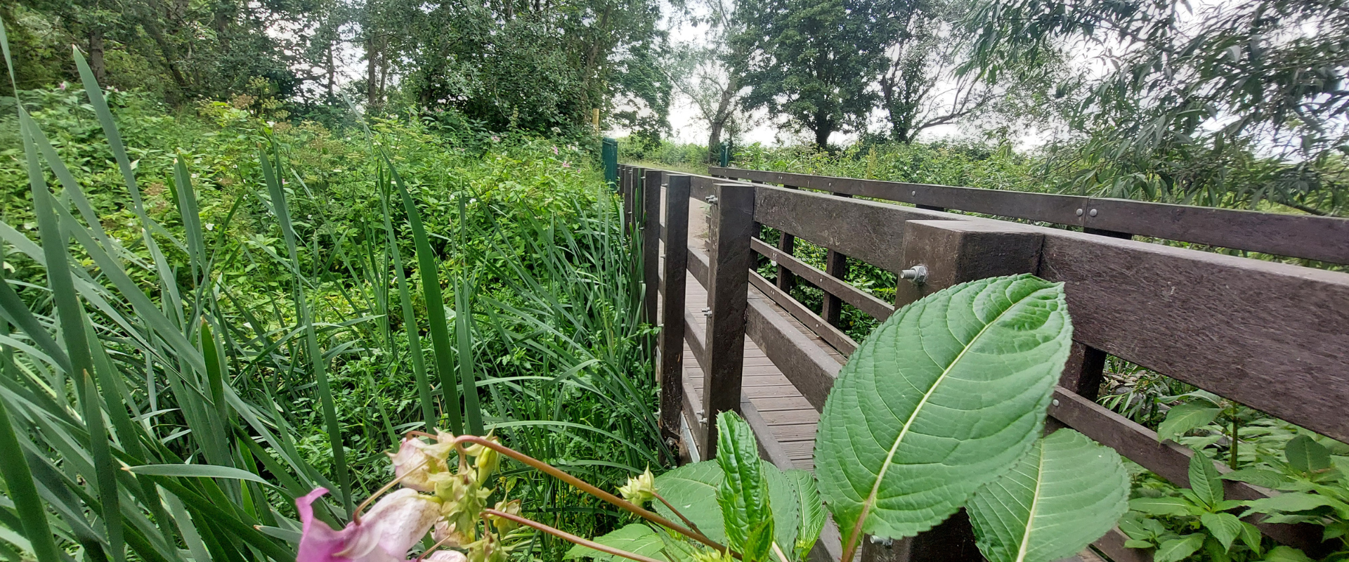 A recycled plastic bridge located near Loughborough, Leicestershire