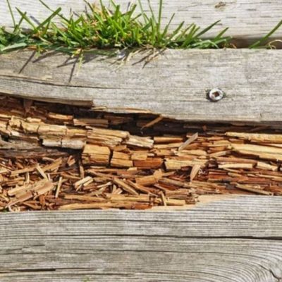 Rotting timber beams